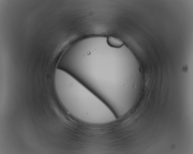 X0000093500542200710121045