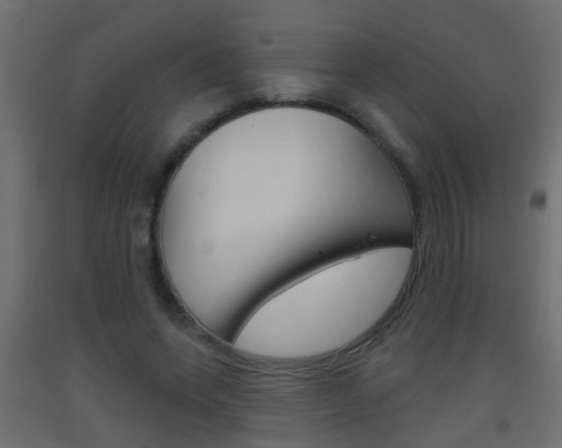 X0000093500543200710121045