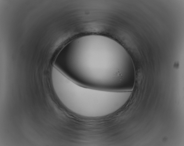 X0000093500544200710121045