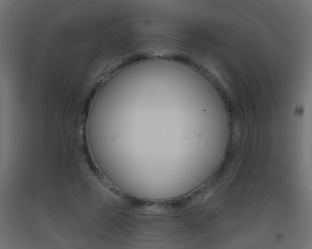 X0000093500545200710121045