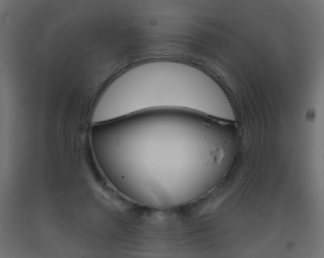 X0000093500546200710121045