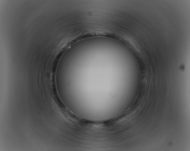 X0000093500548200710121045