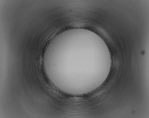 X0000093500549200710121045