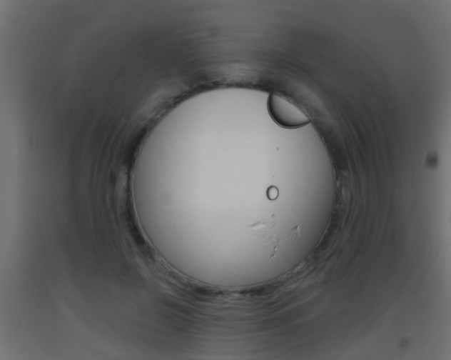 X0000093500550200710121045