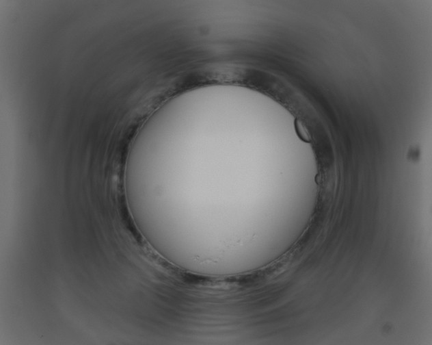 X0000093500553200710121046