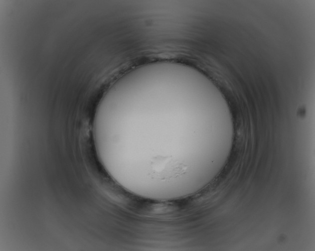 X0000093500555200710121046