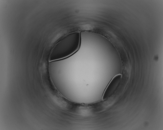 X0000093500556200710121046