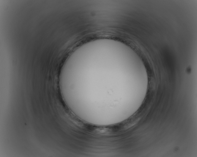 X0000093500557200710121046
