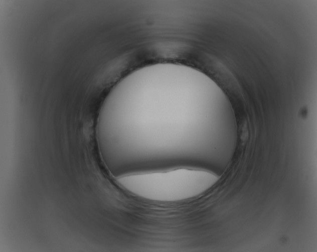 X0000093500559200710121046