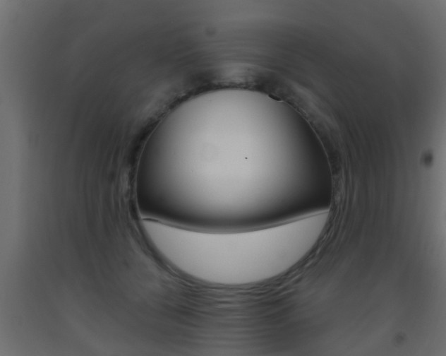 X0000093500560200710121046