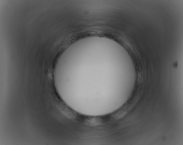 X0000093500561200710121046
