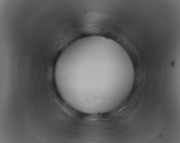 X0000093500563200710121046