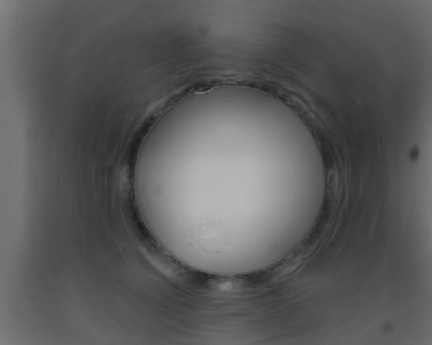 X0000093500564200710121046