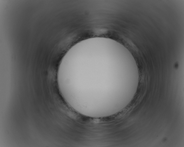 X0000093500565200710121046