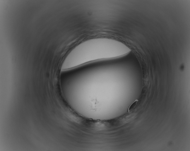 X0000093500566200710121046