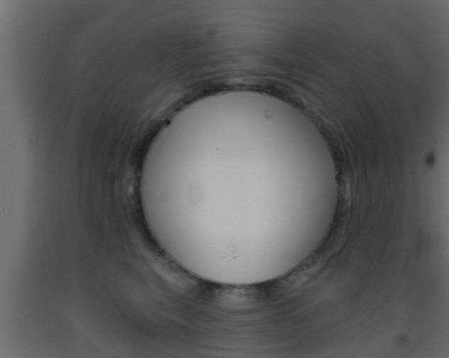 X0000093500567200710121046