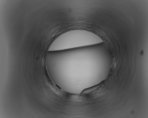 X0000093500568200710121046