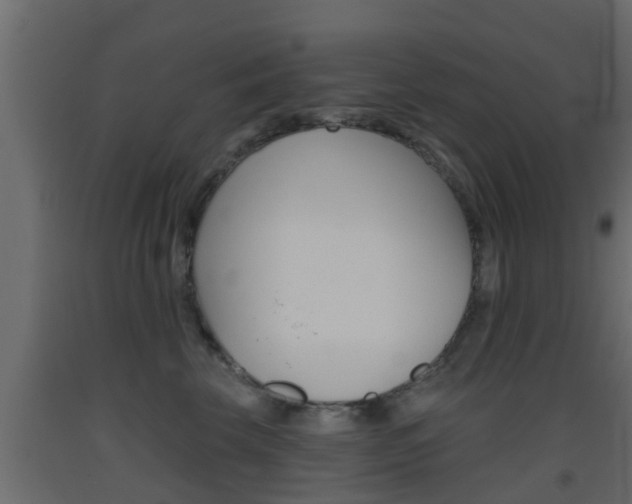 X0000093500569200710121046