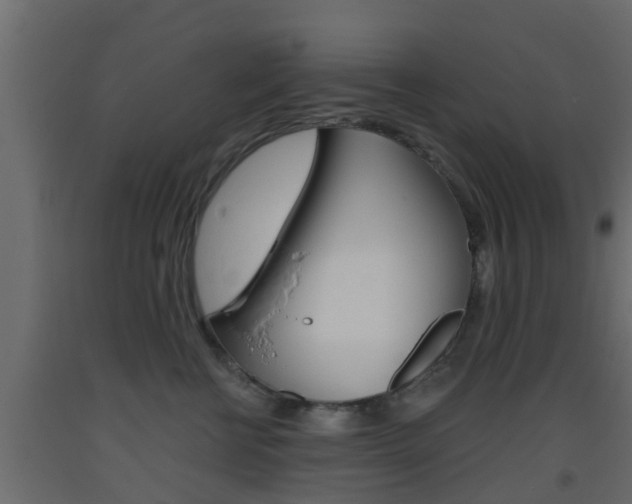 X0000093500570200710121046
