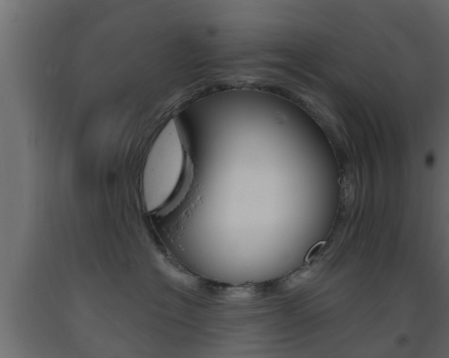 X0000093500574200710121046