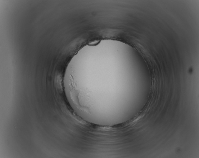 X0000093500575200710121046