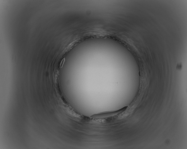 X0000093500576200710121046