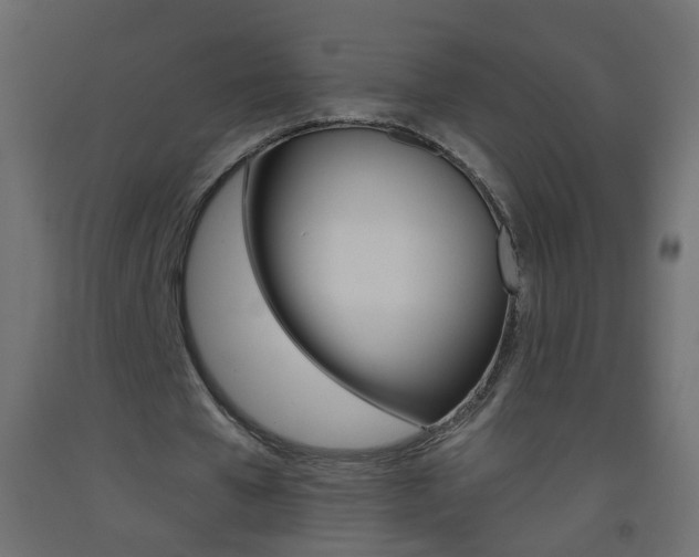 X0000093500577200710121045