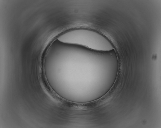 X0000093500582200710121045
