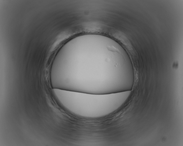 X0000093500583200710121045