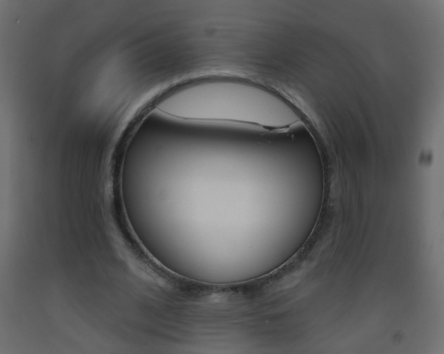 X0000093500584200710121045