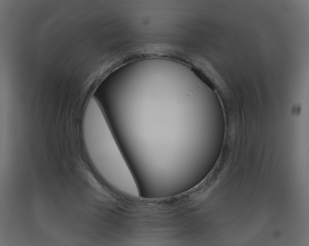 X0000093500585200710121045