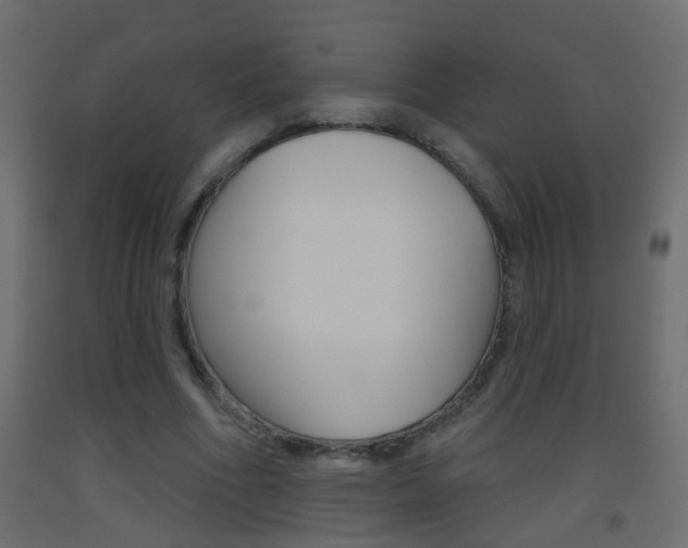 X0000093500586200710121045