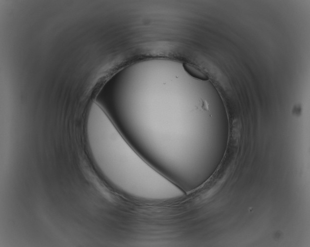 X0000093500589200710121045