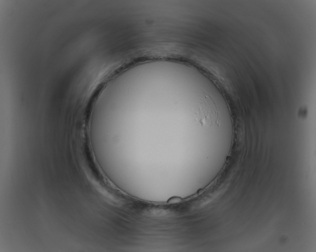 X0000093500590200710121045