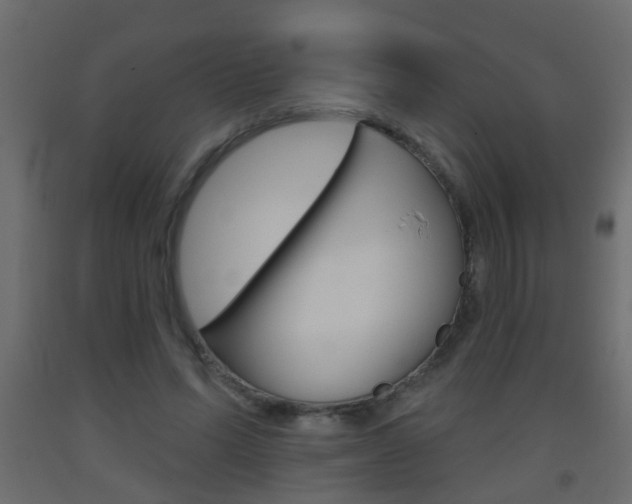 X0000093500591200710121045