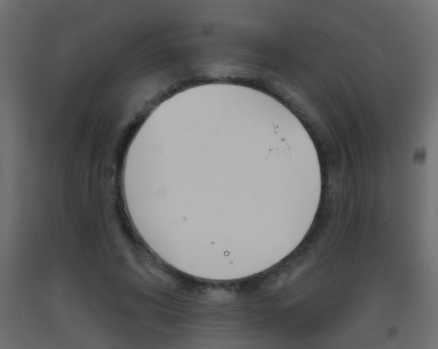 X0000093500592200710121045