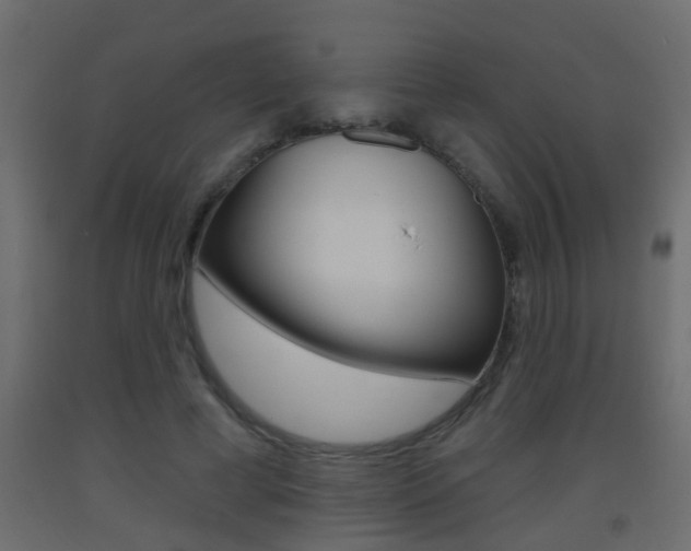 X0000093500593200710121045