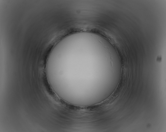 X0000093500594200710121045