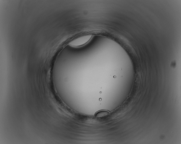 X0000093500596200710121045