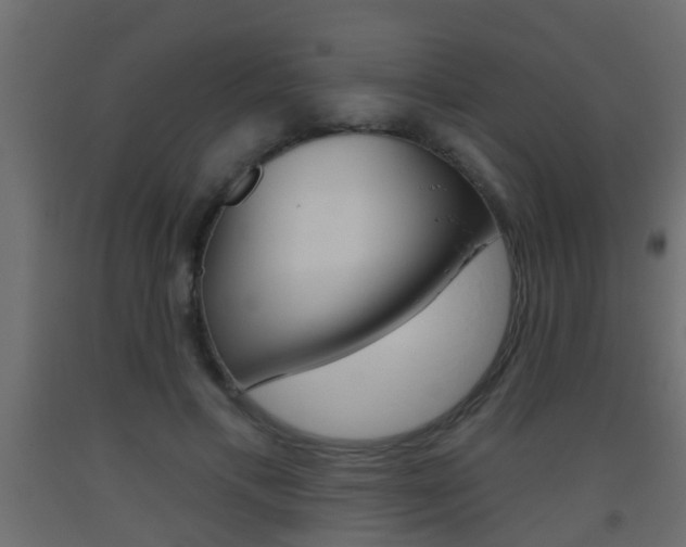 X0000093500597200710121045