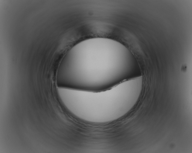 X0000093500599200710121045