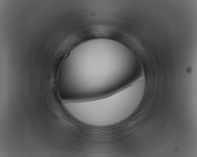 X0000093500600200710121045
