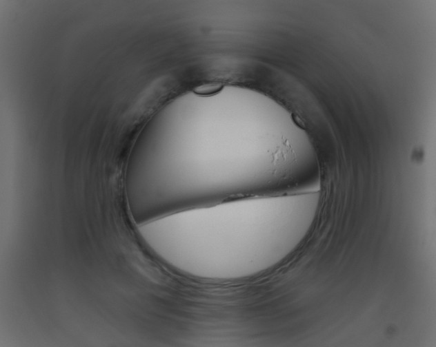 X0000093500601200710121045