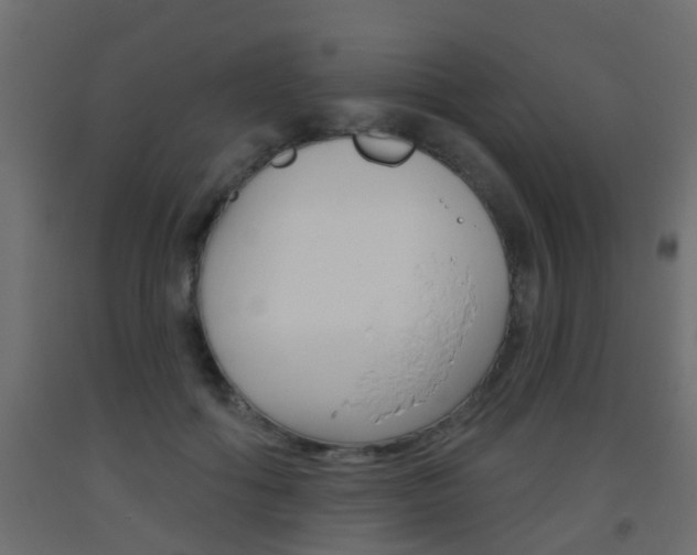 X0000093500602200710121045