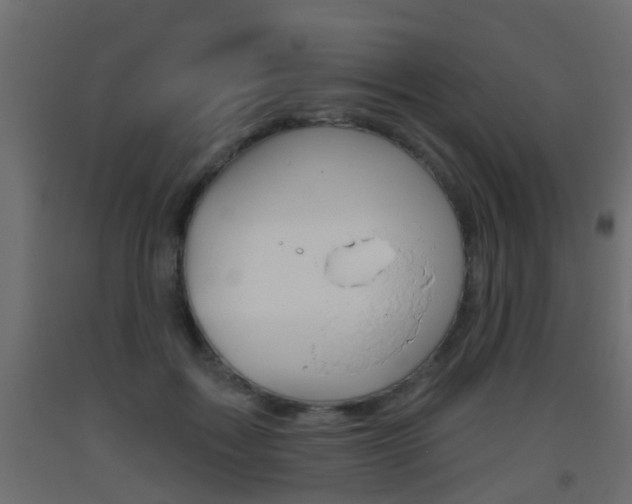 X0000093500603200710121045