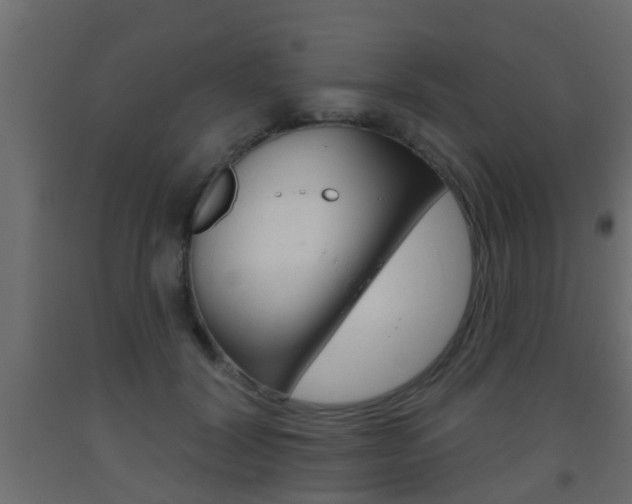 X0000093500604200710121045