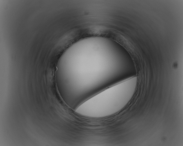 X0000093500605200710121045
