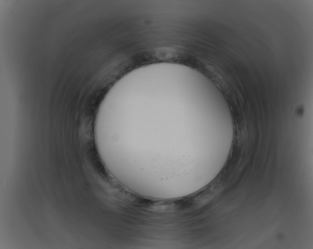 X0000093500606200710121045