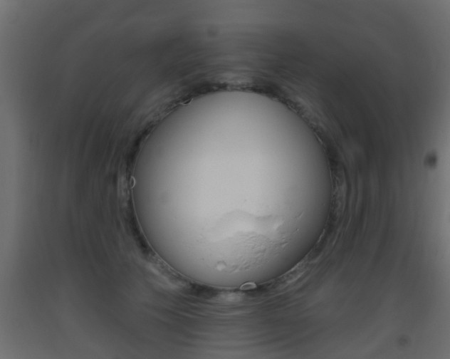 X0000093500609200710121045