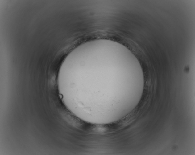 X0000093500610200710121045